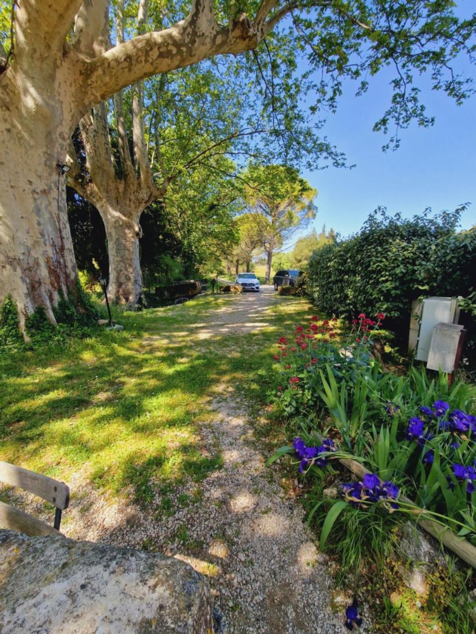 Ancien Mas Du Moulin Bed & Breakfast Eygalières Eksteriør bilde